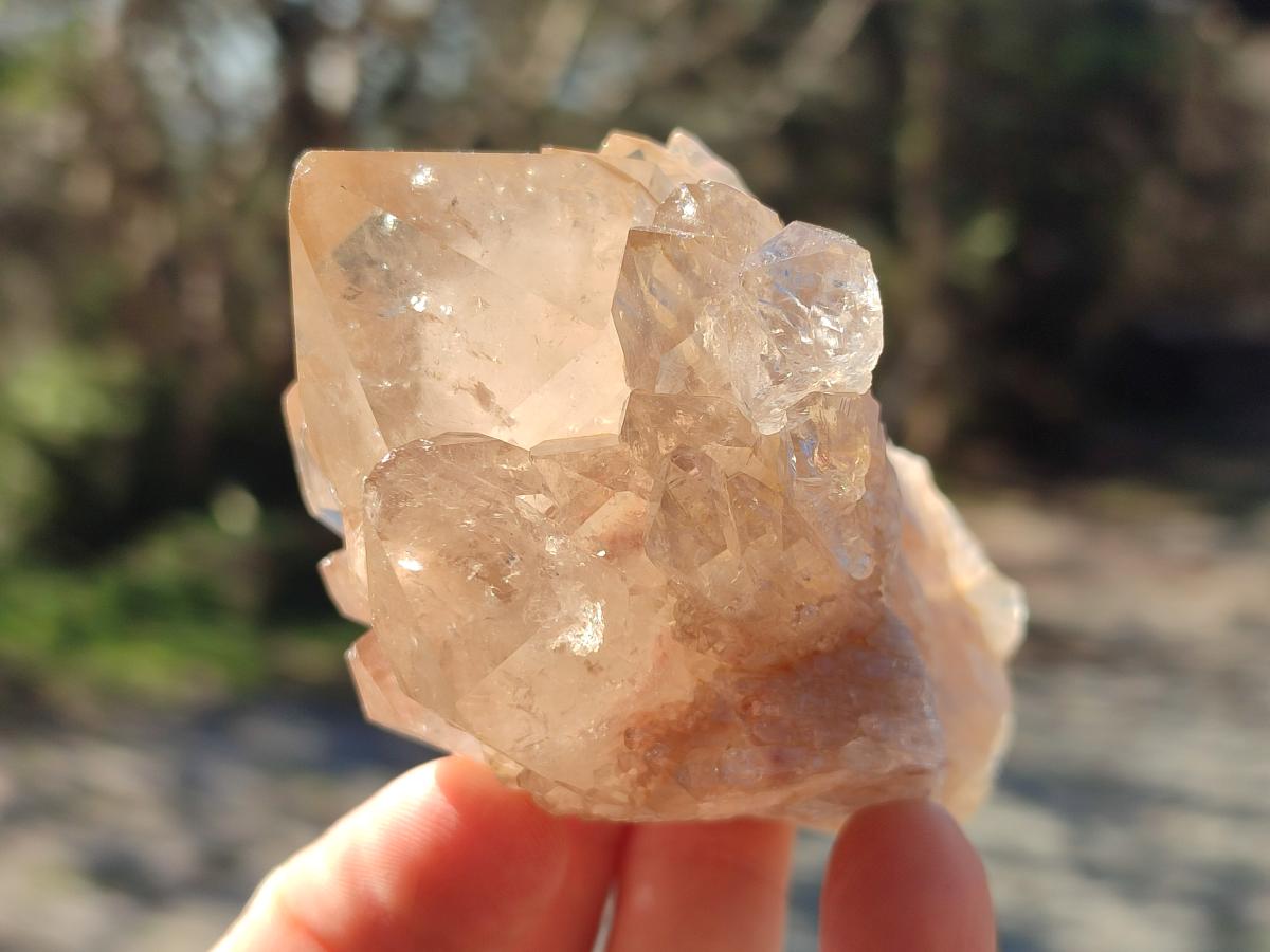 Natural Cascading Clear Smokey Citrine Crystal Quartz Clusters x 6 From Luena, Congo - Toprock Gemstones and Minerals 
