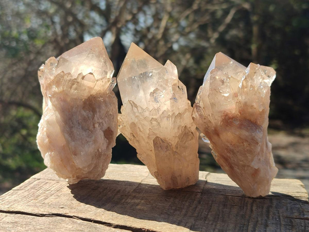 Natural Cascading Clear Smokey Citrine Crystal Quartz Clusters x 6 From Luena, Congo - Toprock Gemstones and Minerals 
