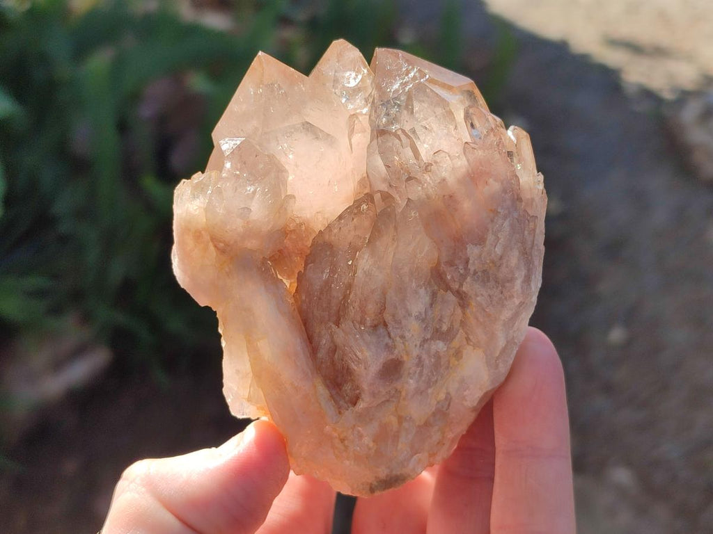 Natural Cascading Clear Smokey Citrine Crystal Quartz Clusters x 6 From Luena, Congo - Toprock Gemstones and Minerals 