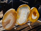 Polished Banded Agate Slices with Natural Edging x 6 From Madagascar - Toprock Gemstones and Minerals 