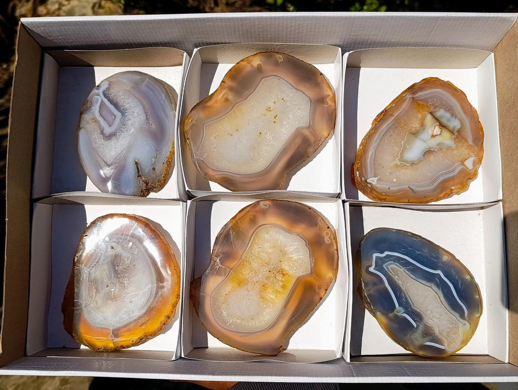 Polished Banded Agate Slices with Natural Edging x 6 From Madagascar - Toprock Gemstones and Minerals 