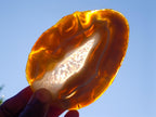 Polished Banded Agate Slices with Natural Edging x 6 From Madagascar - Toprock Gemstones and Minerals 