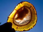 Polished Banded Agate Slices with Natural Edging x 6 From Madagascar - Toprock Gemstones and Minerals 