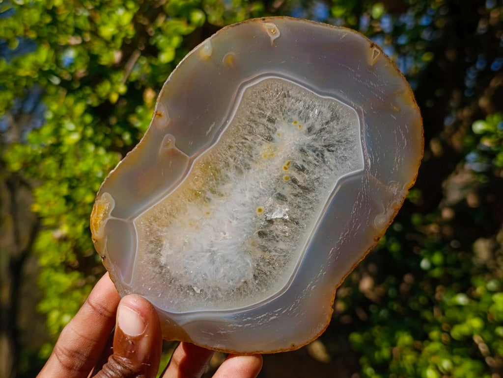 Polished Banded Agate Slices with Natural Edging x 6 From Madagascar - Toprock Gemstones and Minerals 