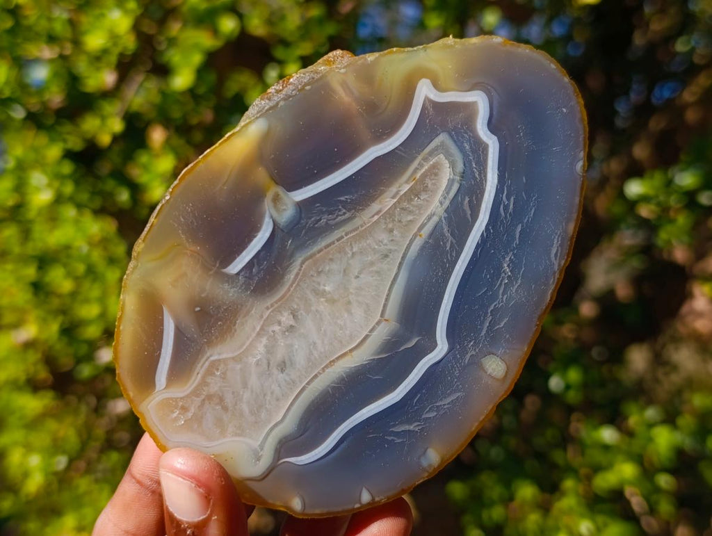 Polished Banded Agate Slices with Natural Edging x 6 From Madagascar - Toprock Gemstones and Minerals 