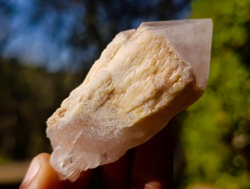 Natural Cascading Single Pineapple Quartz Crystals x 35 From Antsirabe, Madagascar - Toprock Gemstones and Minerals 
