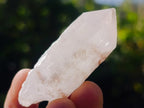 Natural Cascading Single Pineapple Quartz Crystals x 35 From Antsirabe, Madagascar - Toprock Gemstones and Minerals 