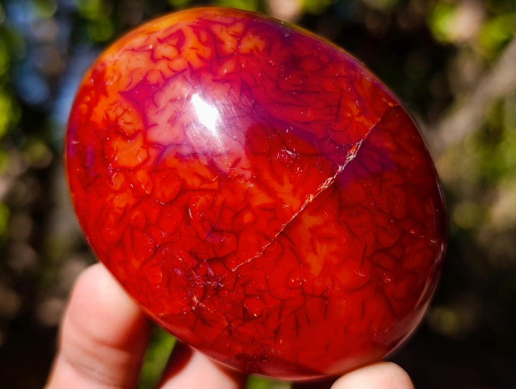 Polished And Natural Carnelian Agate Gemstone Galet x 14 From Madagascar - Toprock Gemstones and Minerals 