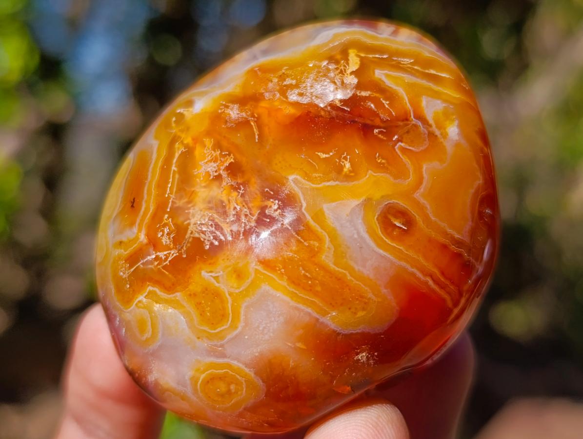 Polished And Natural Carnelian Agate Gemstone Galet x 14 From Madagascar - Toprock Gemstones and Minerals 
