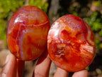Polished And Natural Carnelian Agate Gemstone Galet x 14 From Madagascar - Toprock Gemstones and Minerals 