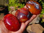 Polished And Natural Carnelian Agate Gemstone Galet x 14 From Madagascar - Toprock Gemstones and Minerals 