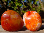 Polished And Natural Carnelian Agate Gemstone Galet x 14 From Madagascar - Toprock Gemstones and Minerals 