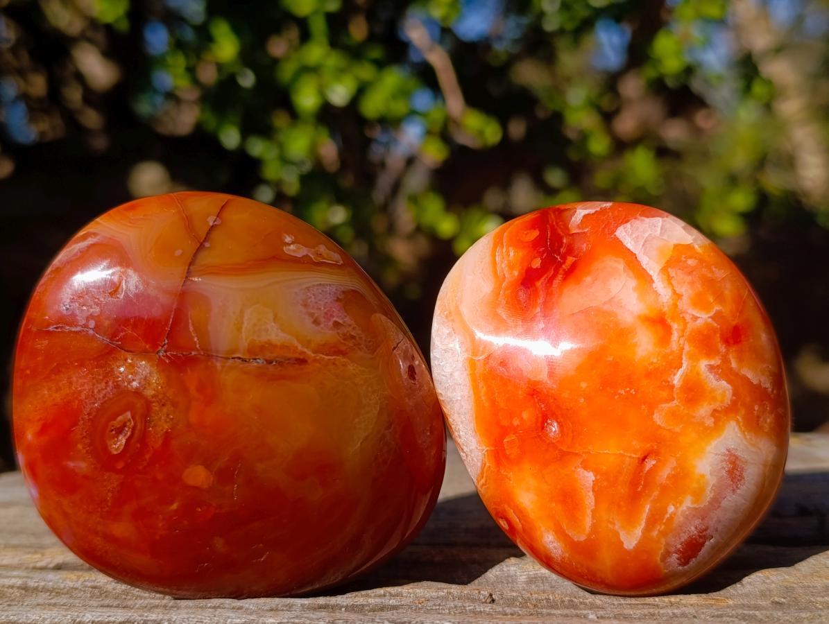 Polished And Natural Carnelian Agate Gemstone Galet x 14 From Madagascar - Toprock Gemstones and Minerals 
