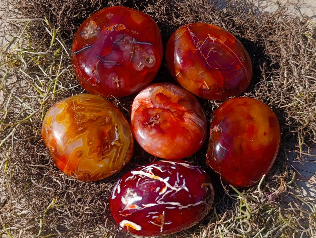 Polished And Natural Carnelian Agate Gemstone Galet x 14 From Madagascar - Toprock Gemstones and Minerals 