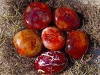 Polished And Natural Carnelian Agate Gemstone Galet x 14 From Madagascar - Toprock Gemstones and Minerals 