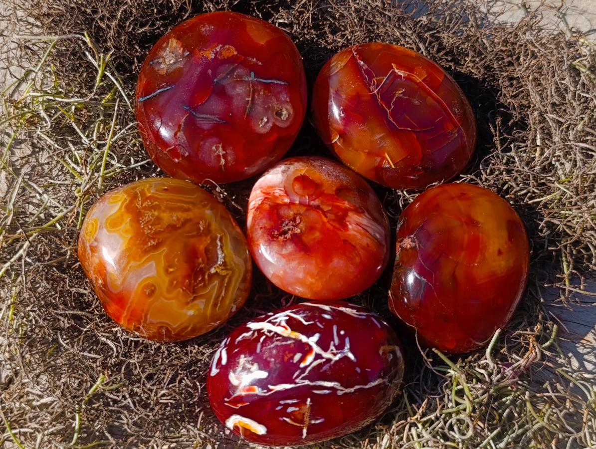 Polished And Natural Carnelian Agate Gemstone Galet x 14 From Madagascar - Toprock Gemstones and Minerals 