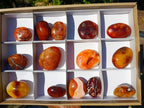 Polished And Natural Carnelian Agate Gemstone Galet x 14 From Madagascar - Toprock Gemstones and Minerals 