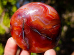 Polished And Natural Carnelian Agate Gemstone Galet x 14 From Madagascar - Toprock Gemstones and Minerals 