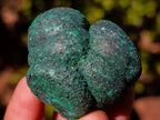 Natural Botryoidal Malachite Specimens x 17 From Congo - Toprock Gemstones and Minerals 