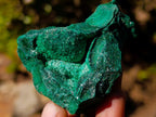 Natural Botryoidal Malachite Specimens x 17 From Congo - Toprock Gemstones and Minerals 