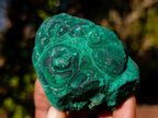 Natural Botryoidal Malachite Specimens x 17 From Congo - Toprock Gemstones and Minerals 