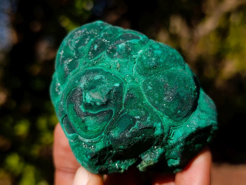 Natural Botryoidal Malachite Specimens x 17 From Congo - Toprock Gemstones and Minerals 