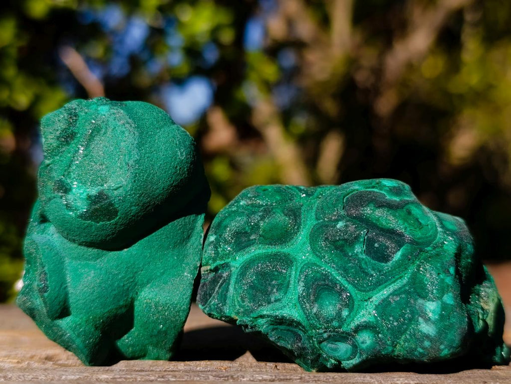 Natural Botryoidal Malachite Specimens x 17 From Congo - Toprock Gemstones and Minerals 