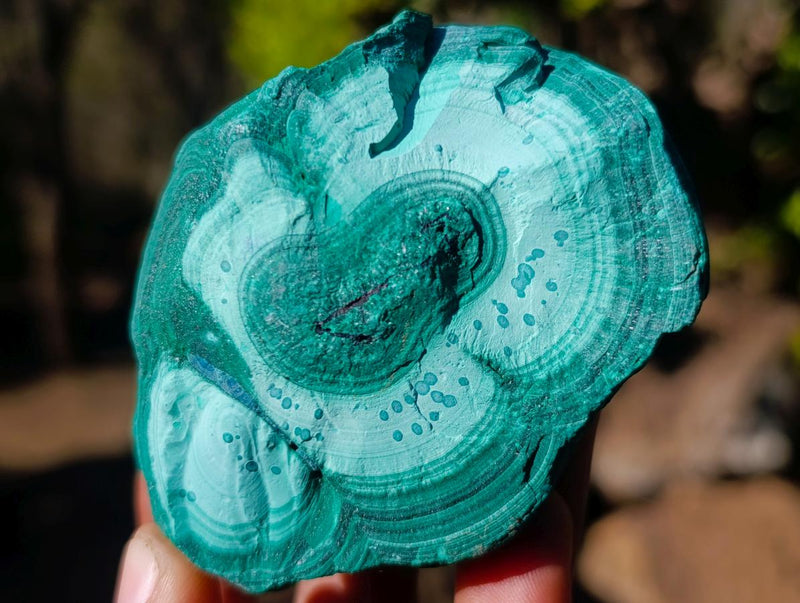 Natural Botryoidal Malachite Specimens x 17 From Congo - Toprock Gemstones and Minerals 