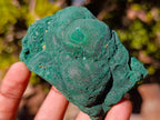 Natural Botryoidal Malachite Specimens x 17 From Congo - Toprock Gemstones and Minerals 
