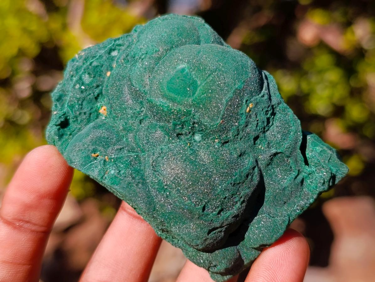 Natural Botryoidal Malachite Specimens x 17 From Congo - Toprock Gemstones and Minerals 