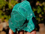 Natural Botryoidal Malachite Specimens x 17 From Congo - Toprock Gemstones and Minerals 