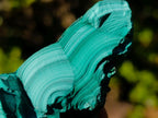 Natural Botryoidal Malachite Specimens x 17 From Congo - Toprock Gemstones and Minerals 