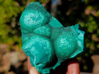 Natural Botryoidal Malachite Specimens x 17 From Congo - Toprock Gemstones and Minerals 