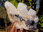 Natural Large Cascading "Anananas" Candle Quartz Clusters x 2 From Antsirabe, Madagascar - Toprock Gemstones and Minerals 