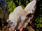 Natural Large Cascading "Anananas" Candle Quartz Clusters x 2 From Antsirabe, Madagascar - Toprock Gemstones and Minerals 