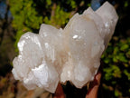 Natural Large Cascading "Anananas" Candle Quartz Clusters x 2 From Antsirabe, Madagascar - Toprock Gemstones and Minerals 