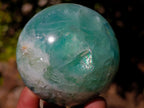Polished Watermelon Fluorite Spheres x 4 From Uis, Namibia - Toprock Gemstones and Minerals 