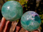 Polished Watermelon Fluorite Spheres x 4 From Uis, Namibia - Toprock Gemstones and Minerals 