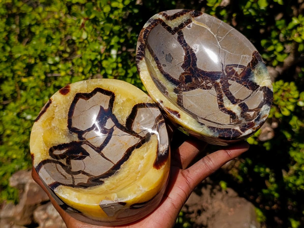 Polished Septerye Bowls x 2 From Mahajanga, Madagascar - Toprock Gemstones and Minerals 