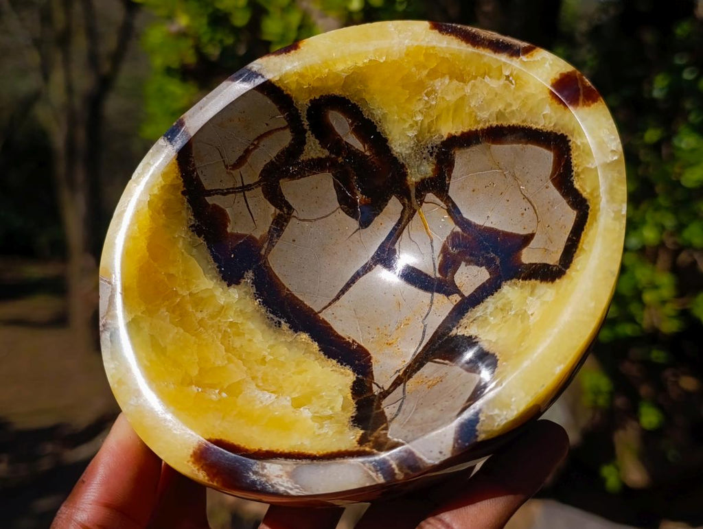 Polished Septerye Bowls x 2 From Mahajanga, Madagascar - Toprock Gemstones and Minerals 