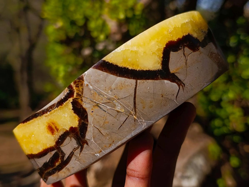 Polished Septerye Bowls x 2 From Mahajanga, Madagascar - Toprock Gemstones and Minerals 