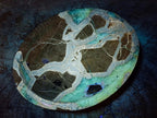 Polished Septerye Bowls x 2 From Mahajanga, Madagascar