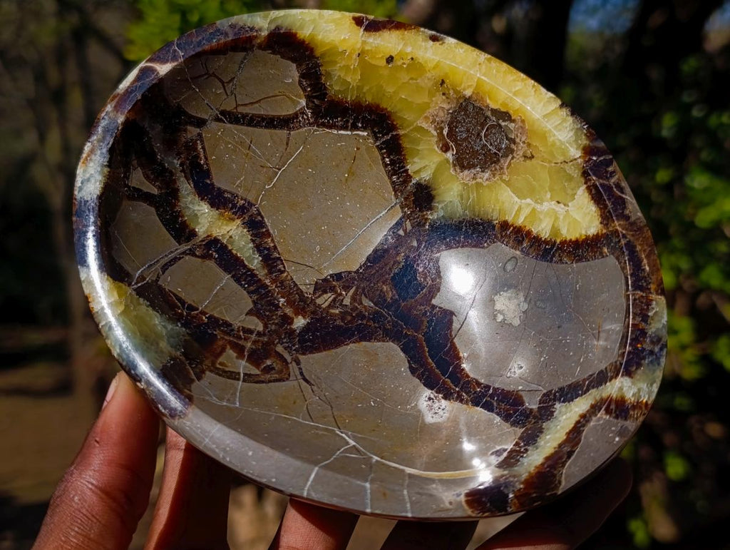 Polished Septerye Bowls x 2 From Mahajanga, Madagascar - Toprock Gemstones and Minerals 