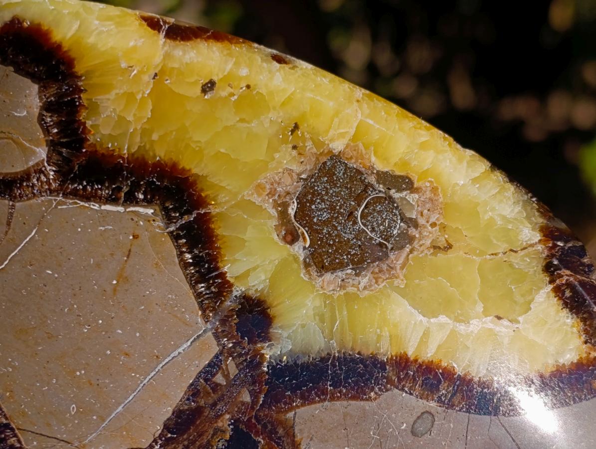 Polished Septerye Bowls x 2 From Mahajanga, Madagascar - Toprock Gemstones and Minerals 