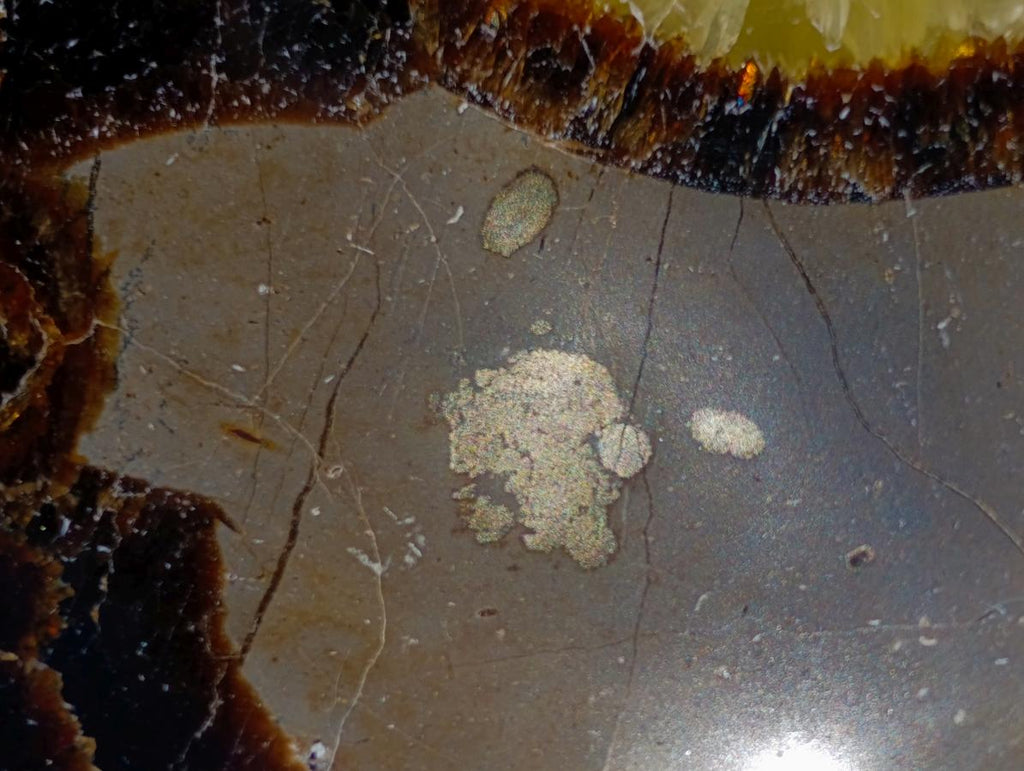 Polished Septerye Bowls x 2 From Mahajanga, Madagascar - Toprock Gemstones and Minerals 