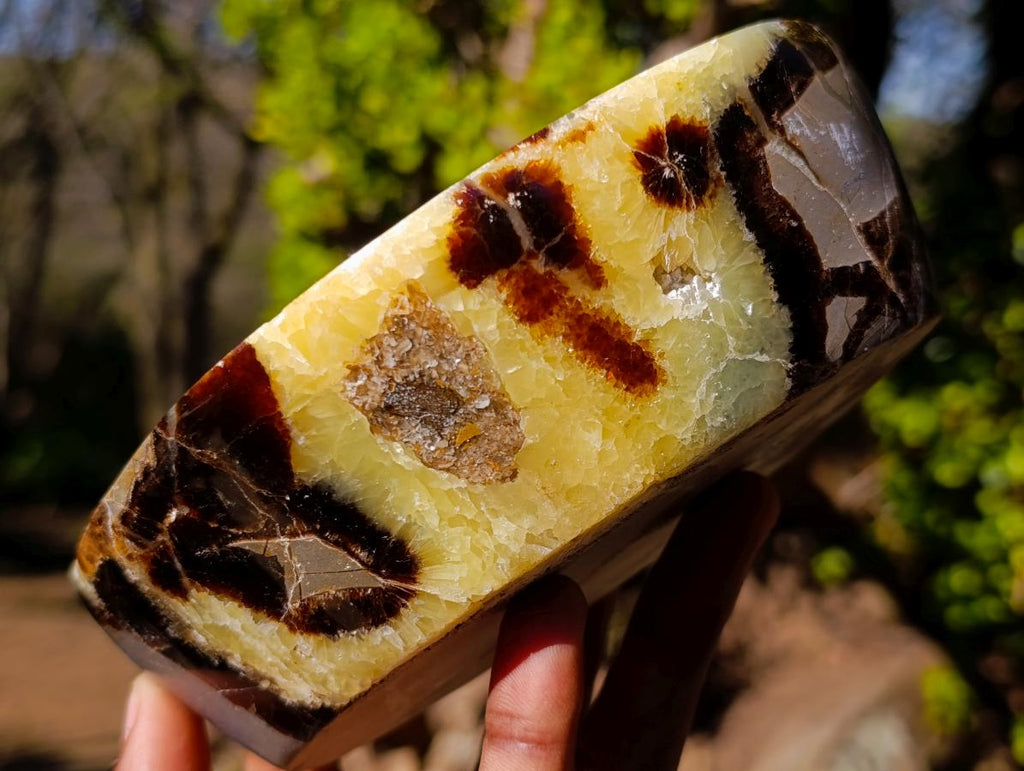 Polished Septerye Bowls x 2 From Mahajanga, Madagascar - Toprock Gemstones and Minerals 