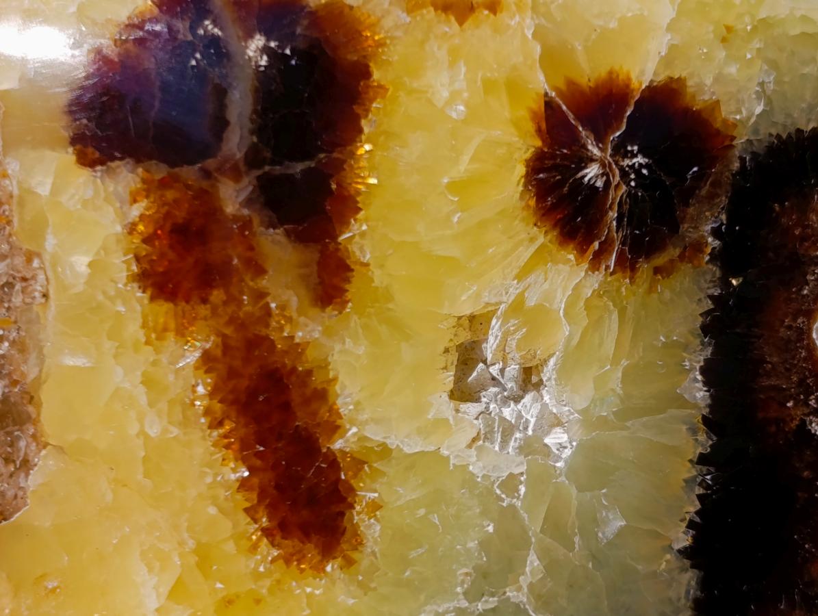 Polished Septerye Bowls x 2 From Mahajanga, Madagascar - Toprock Gemstones and Minerals 