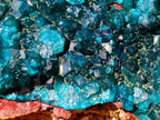 Natural Cabinet Size Dioptase on Red Dolomite Specimen x 1 From Mashamba East Mine, Congo - Toprock Gemstones and Minerals 