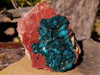 Natural Cabinet Size Dioptase on Red Dolomite Specimen x 1 From Mashamba East Mine, Congo - Toprock Gemstones and Minerals 