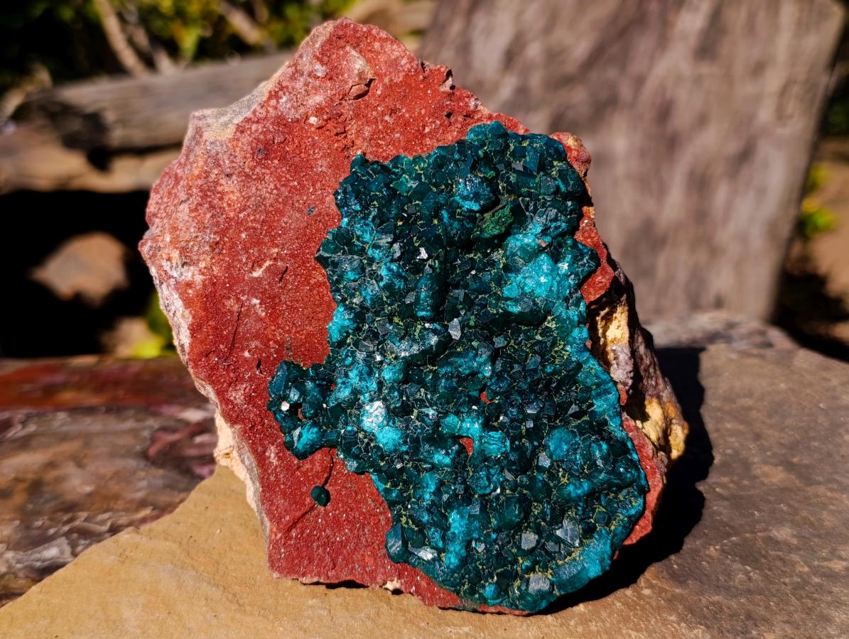 Natural Cabinet Size Dioptase on Red Dolomite Specimen x 1 From Mashamba East Mine, Congo - Toprock Gemstones and Minerals 